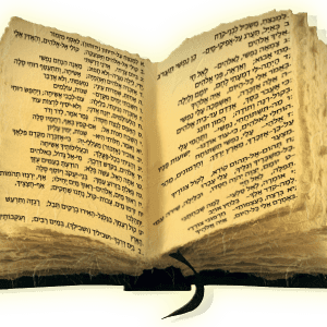 מנוי 30 יום לאתר