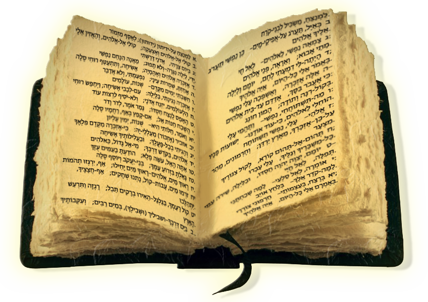 מנוי חצי שנתי לאתר
